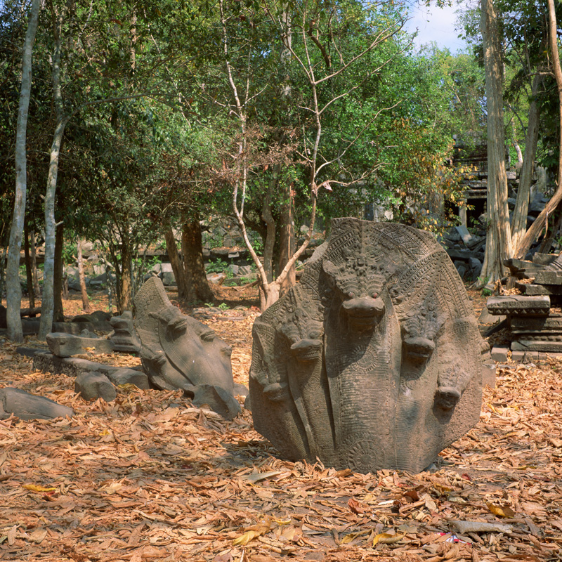 22 Ta_Prohm_Naga_58926-18h