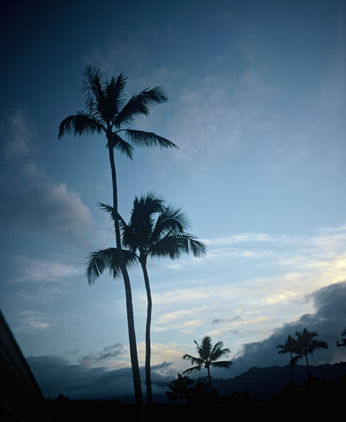 Kaui Palms Michael Fastoso