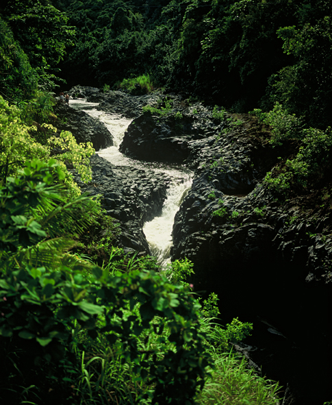 Maui 7 pools of Hana Michael Fastoso