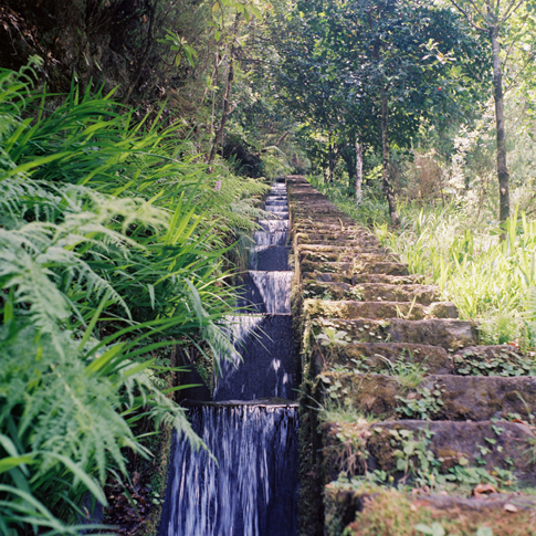 Portugal Madiera Lavadas 1 Michael Fastoso