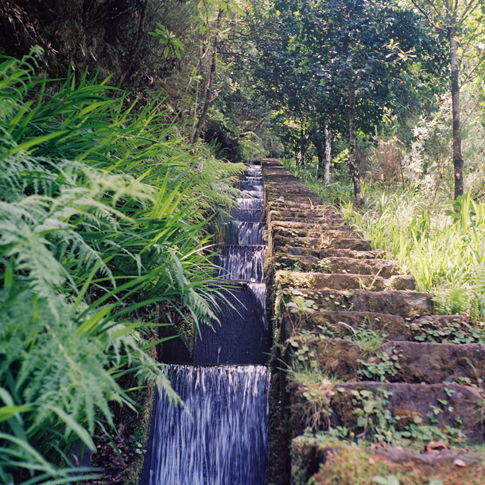 Portugal Madiera Lavadas 1 Michael Fastoso