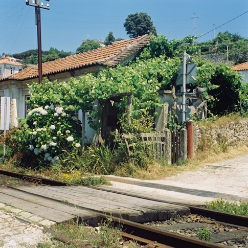 Portugal Roman Arch Michael Fastoso