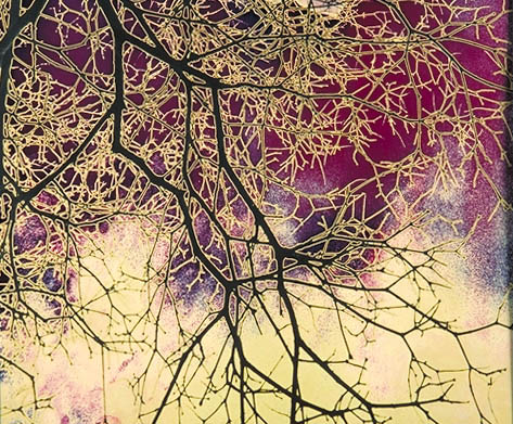 Dont Look Up Detail 2