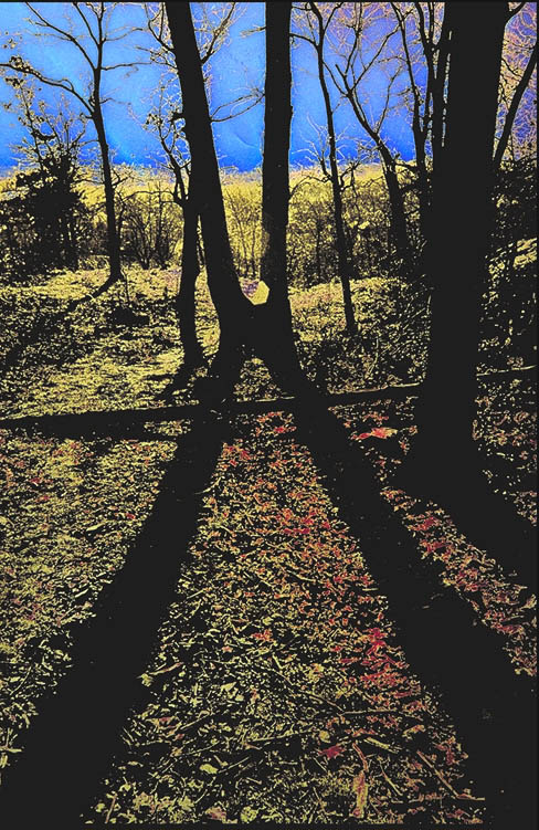 Inciderary Bombs at 2000 Feet